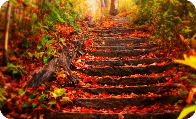 fall-steps